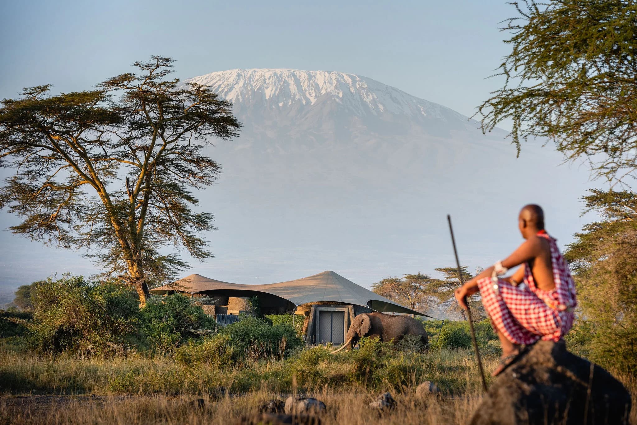 View of Kilimanjaro from a suite at Angama Amboseli — Photo: Angama / Teagan Cunniffe