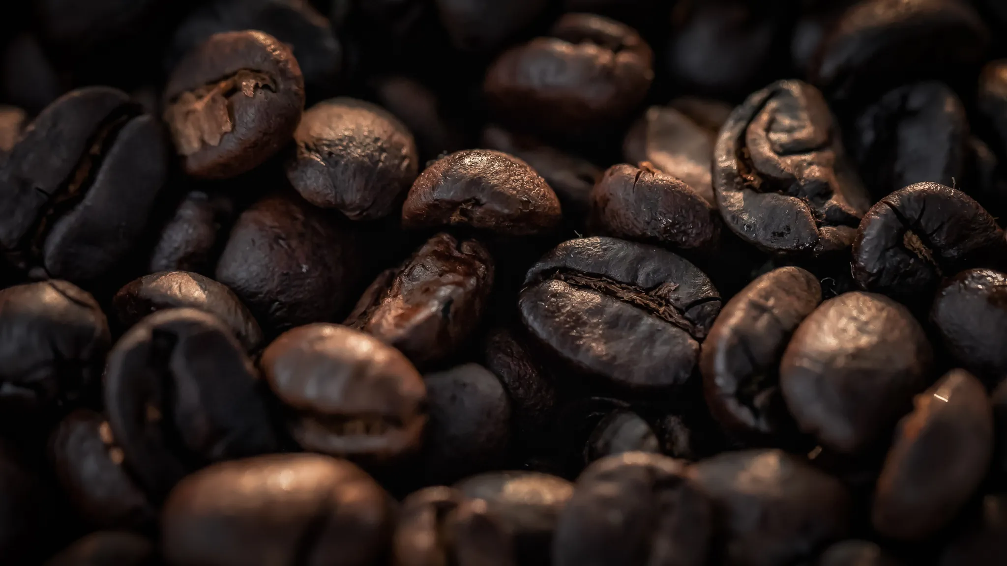 Roasted coffee beans, the end of the tree-to-cup story — Photo: Elewana Collection