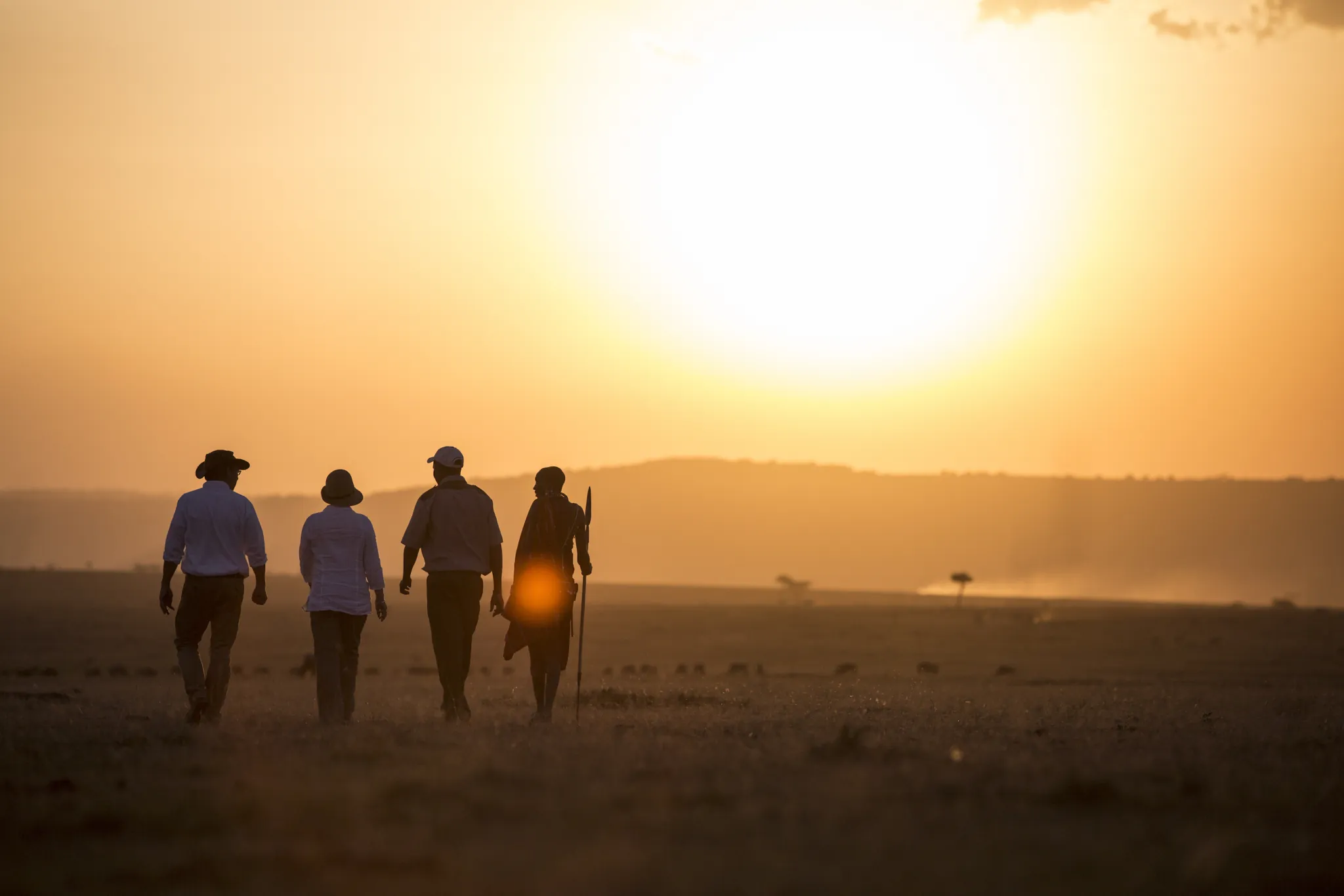 Guests and a Maasai guide on a walking safari at sunset near Elephant Pepper Camp — Photo: Elewana Collection / Silverless