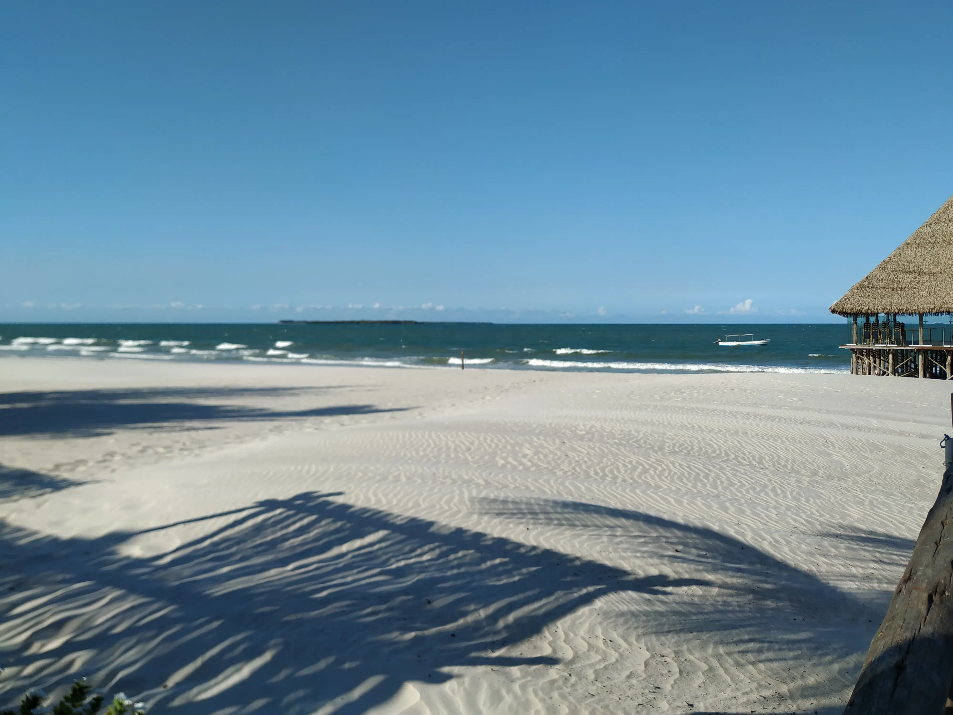 Tanzania Unveiled: A Tale of Two Souls