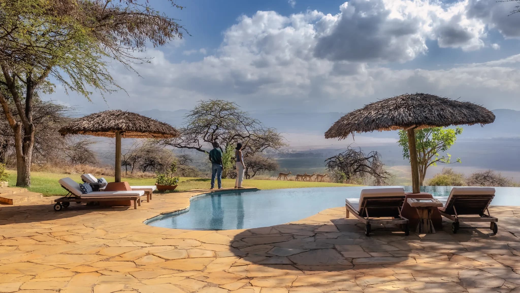 The heated pool at Kifaru House, with impala grazing on the lawn beyond — Photo: Elewana Collection