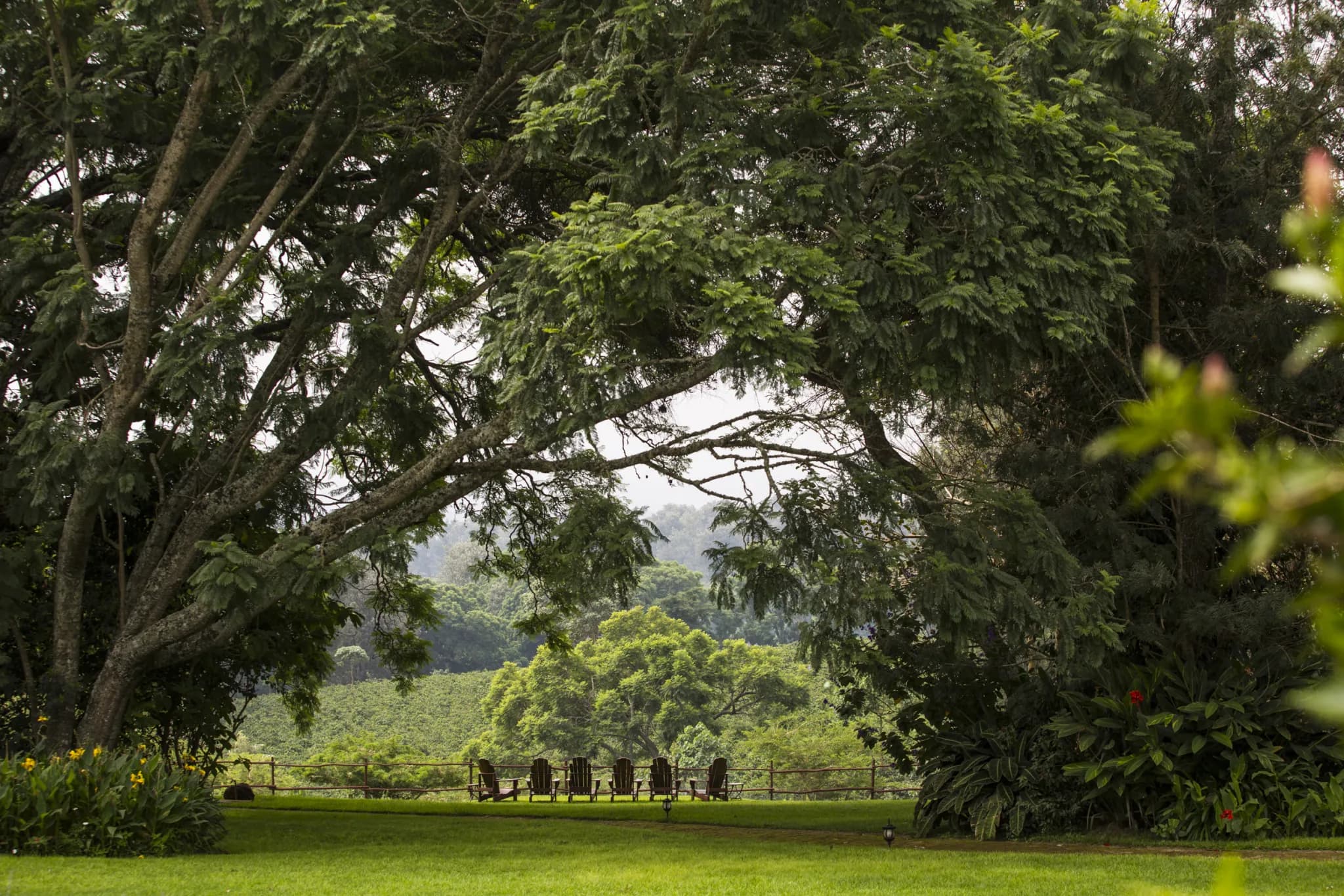 Clipped lawns and a relaxing area in the manor gardens — Photo: Elewana Collection / Silverless