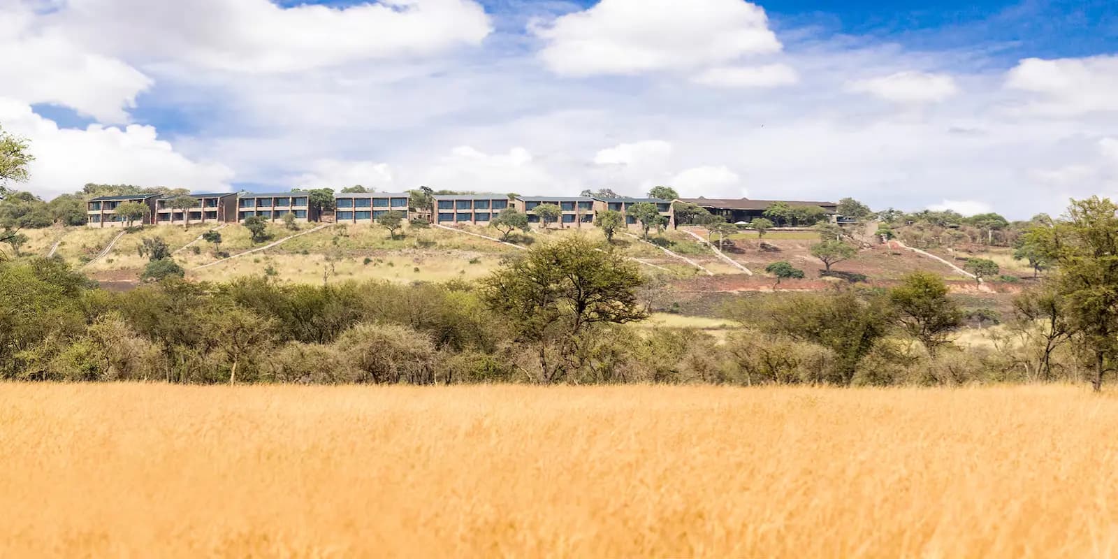 Meliá Serengeti Lodge on its ridge above the golden plains