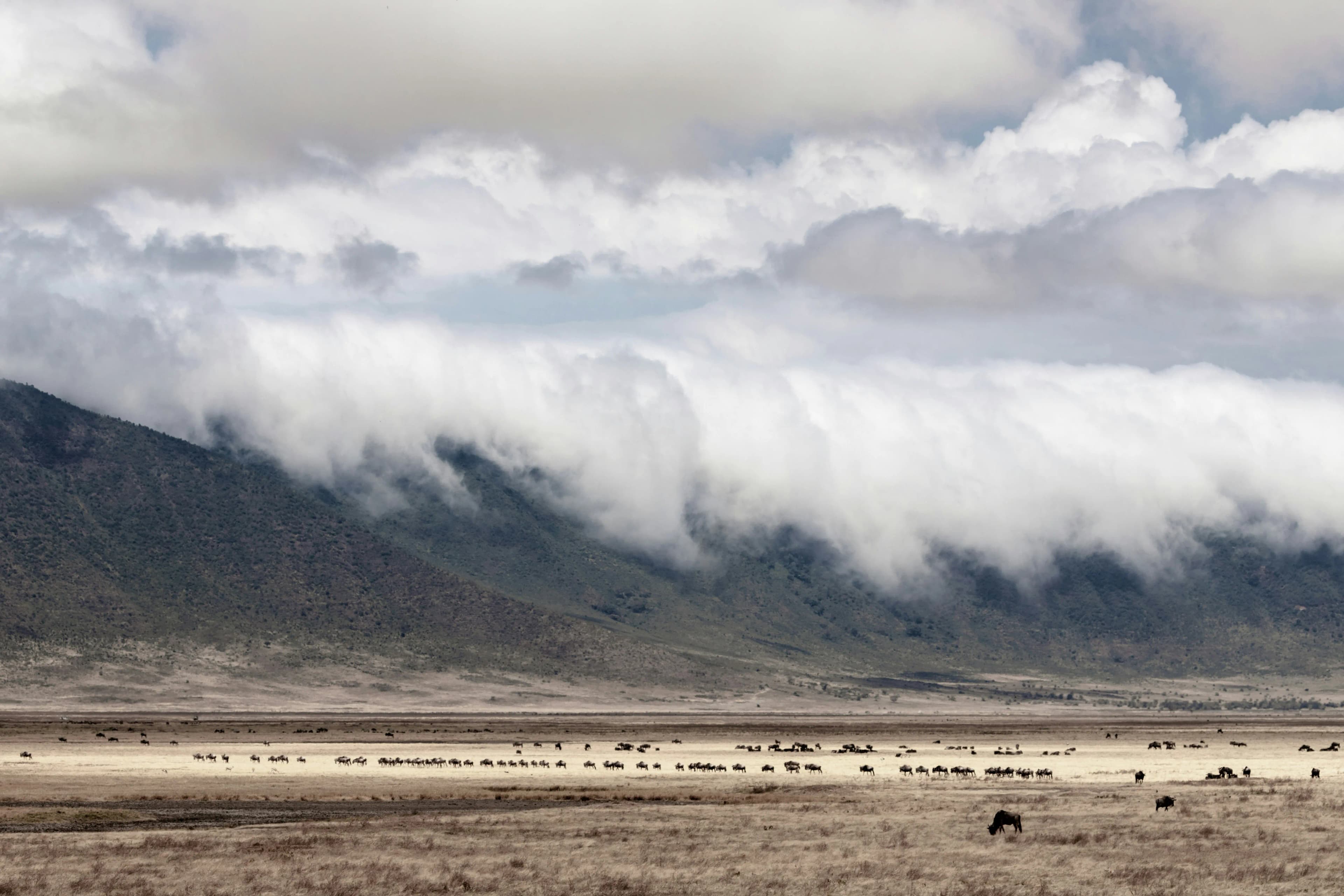 The dramatic descent: Clouds cascading over the caldera walls of the Ngorongoro