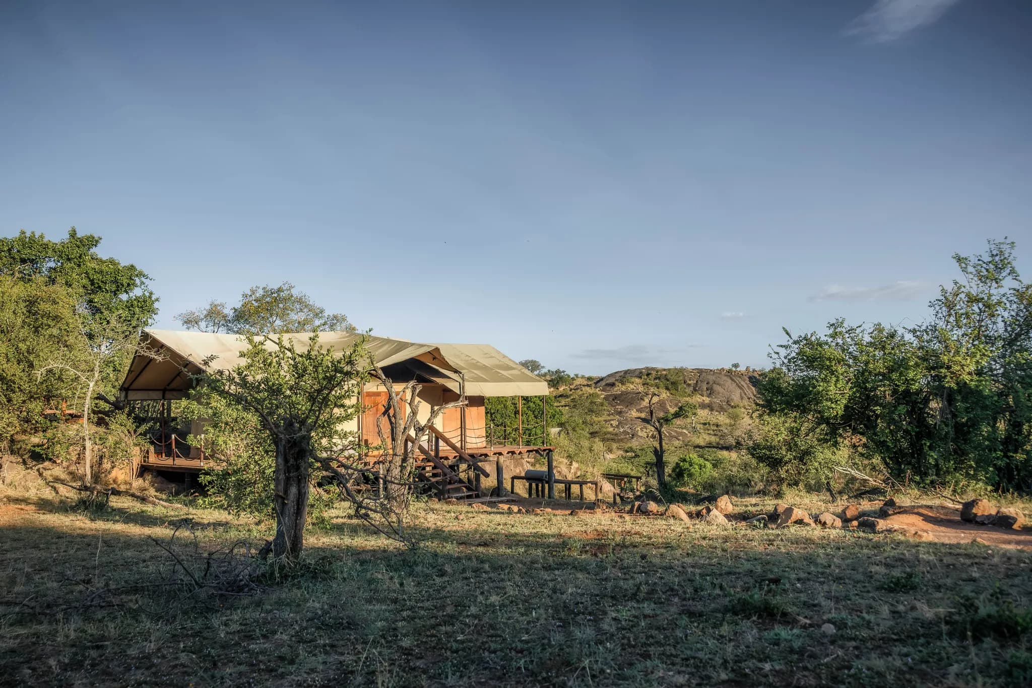 A riverbank tent at Serengeti Migration Camp in the morning light — Photo: Elewana Collection