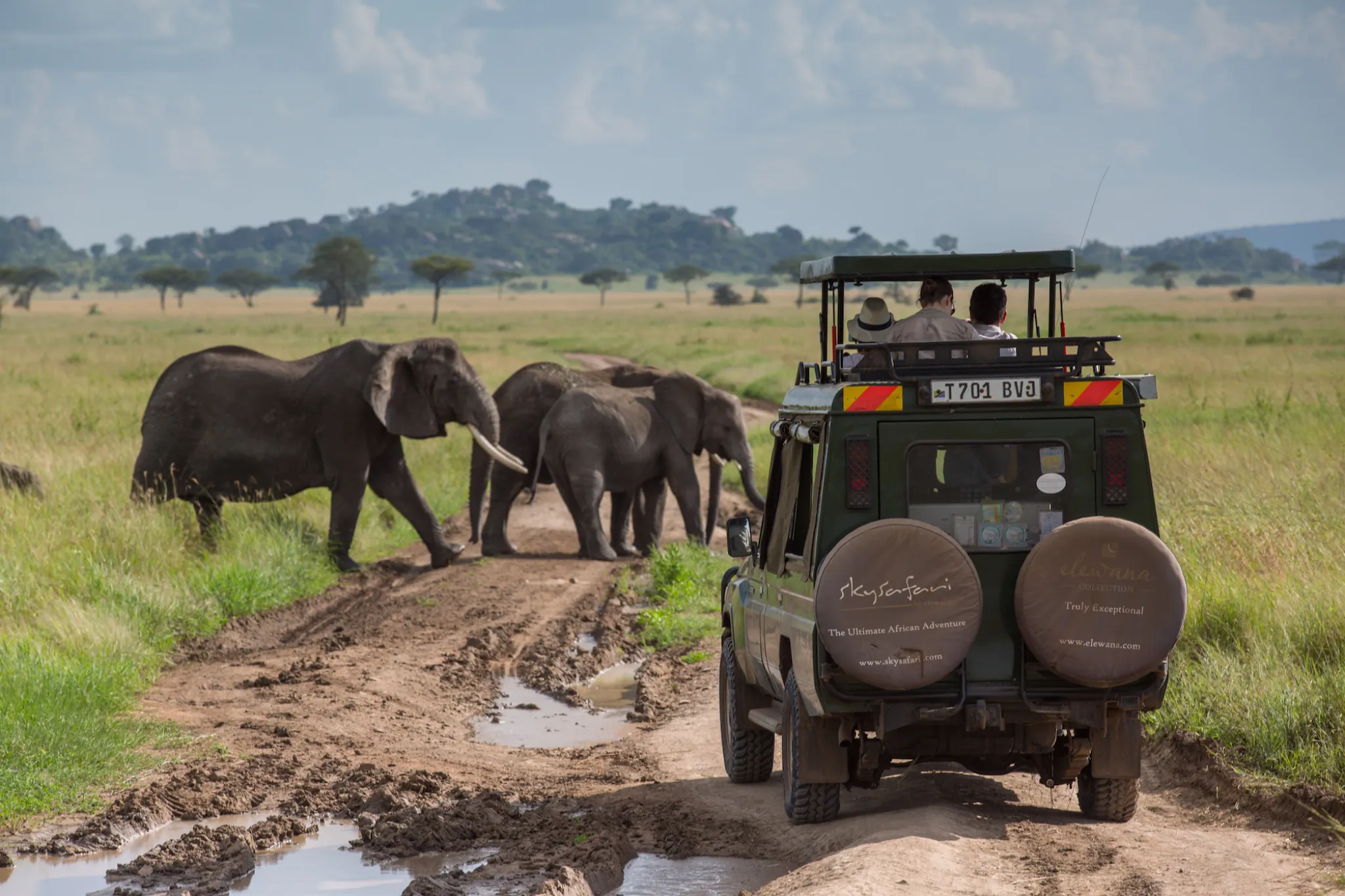 A game-drive vehicle among elephant on the southern plains — Photo: Elewana Collection / Silverless
