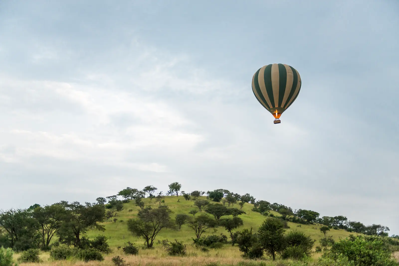 Hot air balloon over the Serengeti at dawn