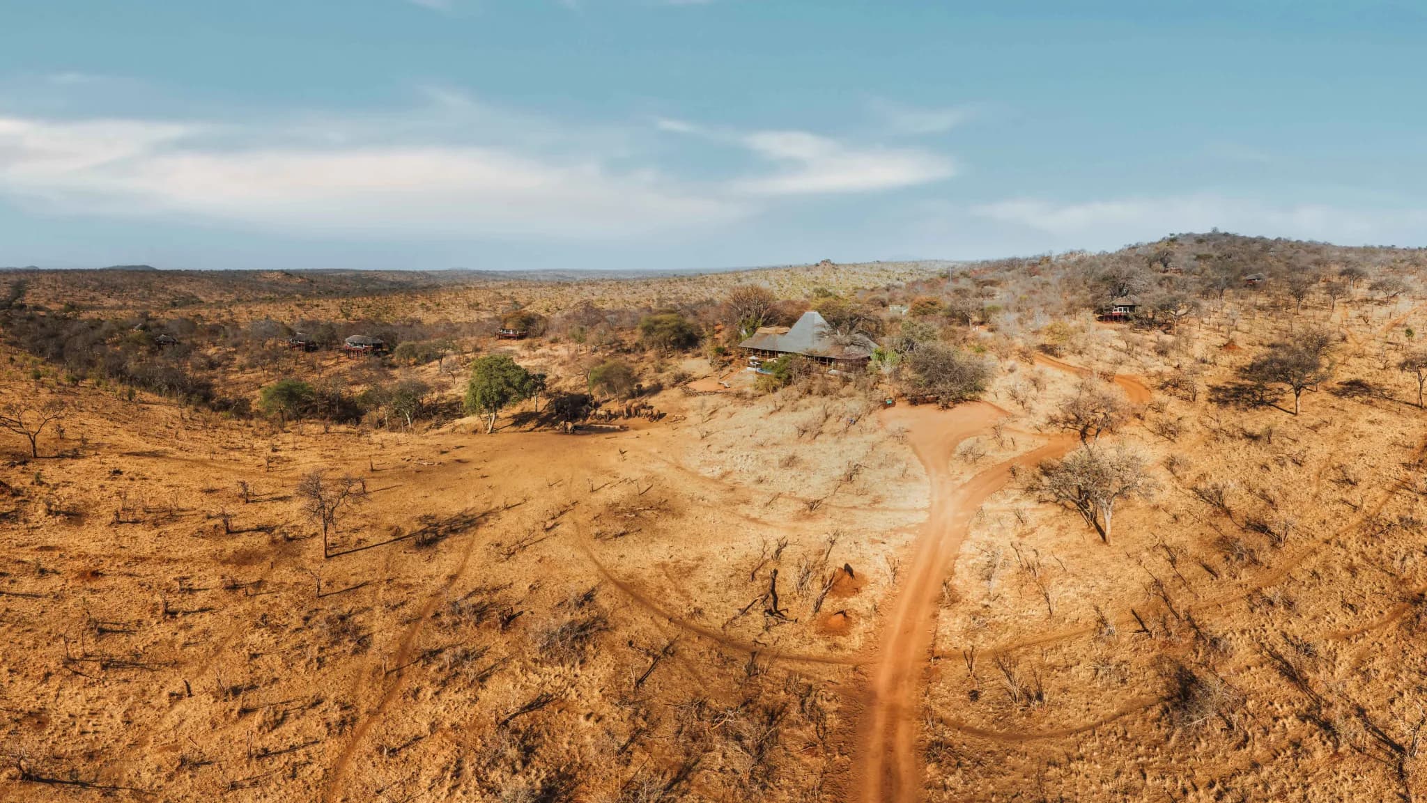 Aerial view of Tarangire Treetops standing alone in its private wilderness area — Photo: Elewana Collection