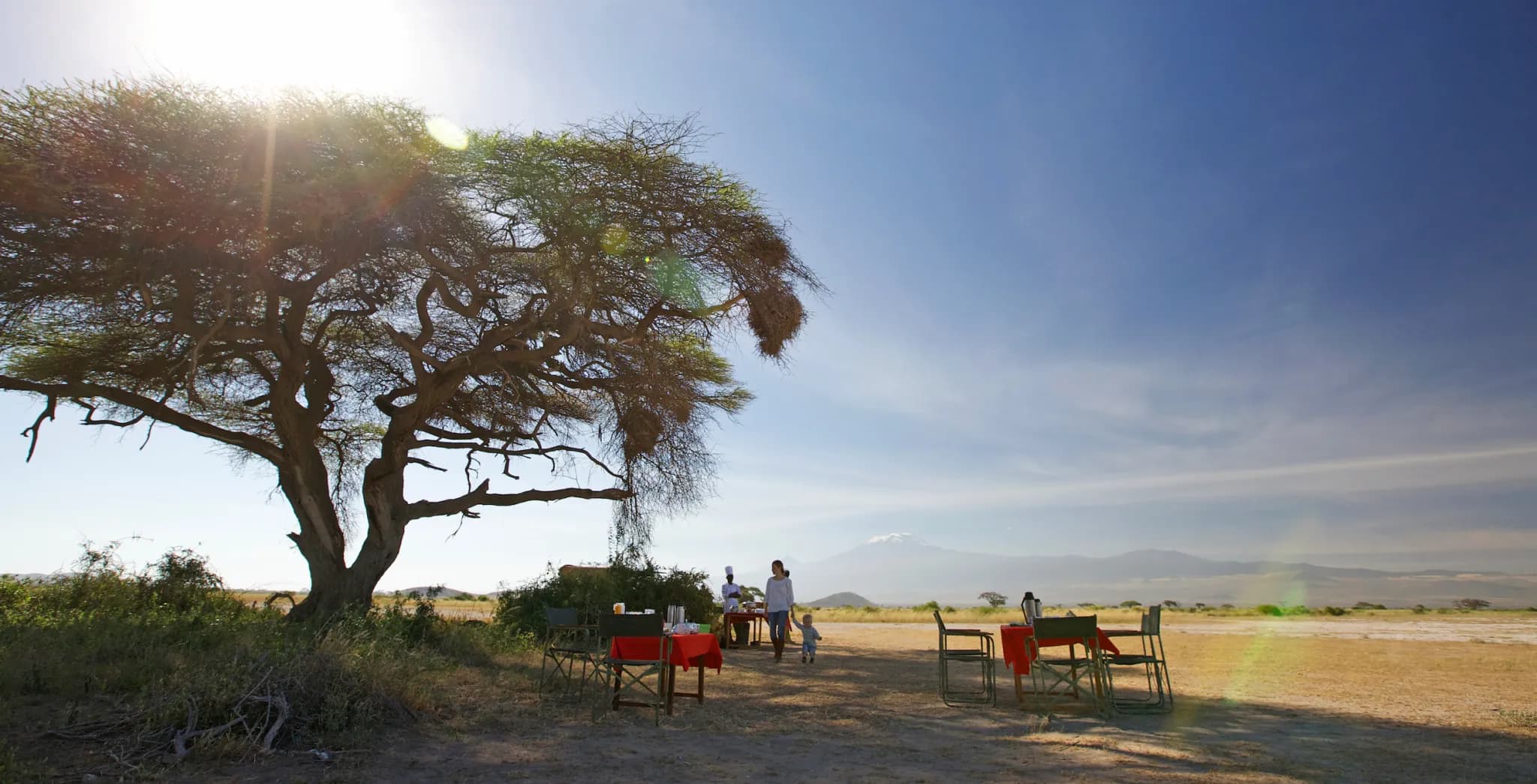 Bush breakfast set beneath an acacia with Mount Kilimanjaro in the distance — Photo: Elewana Collection