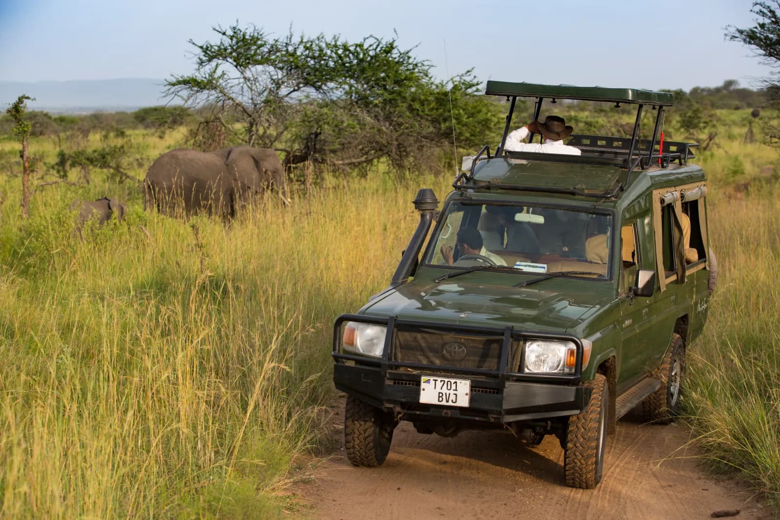 A safari vehicle pausing beside elephants in the long grass of the Serengeti