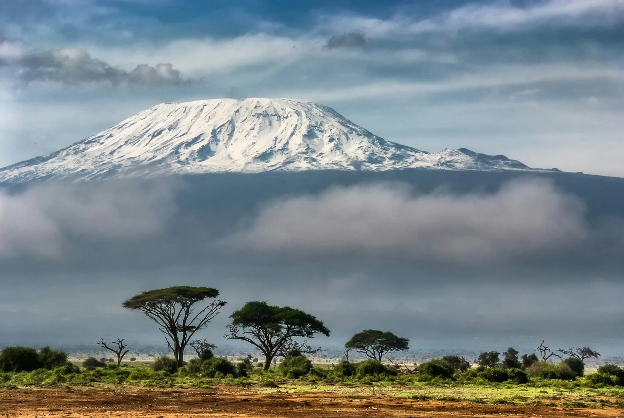 The snow-capped summit of Mount Kilimanjaro standing clear above a band of cloud, with flat-topped acacias on the Amboseli plain below