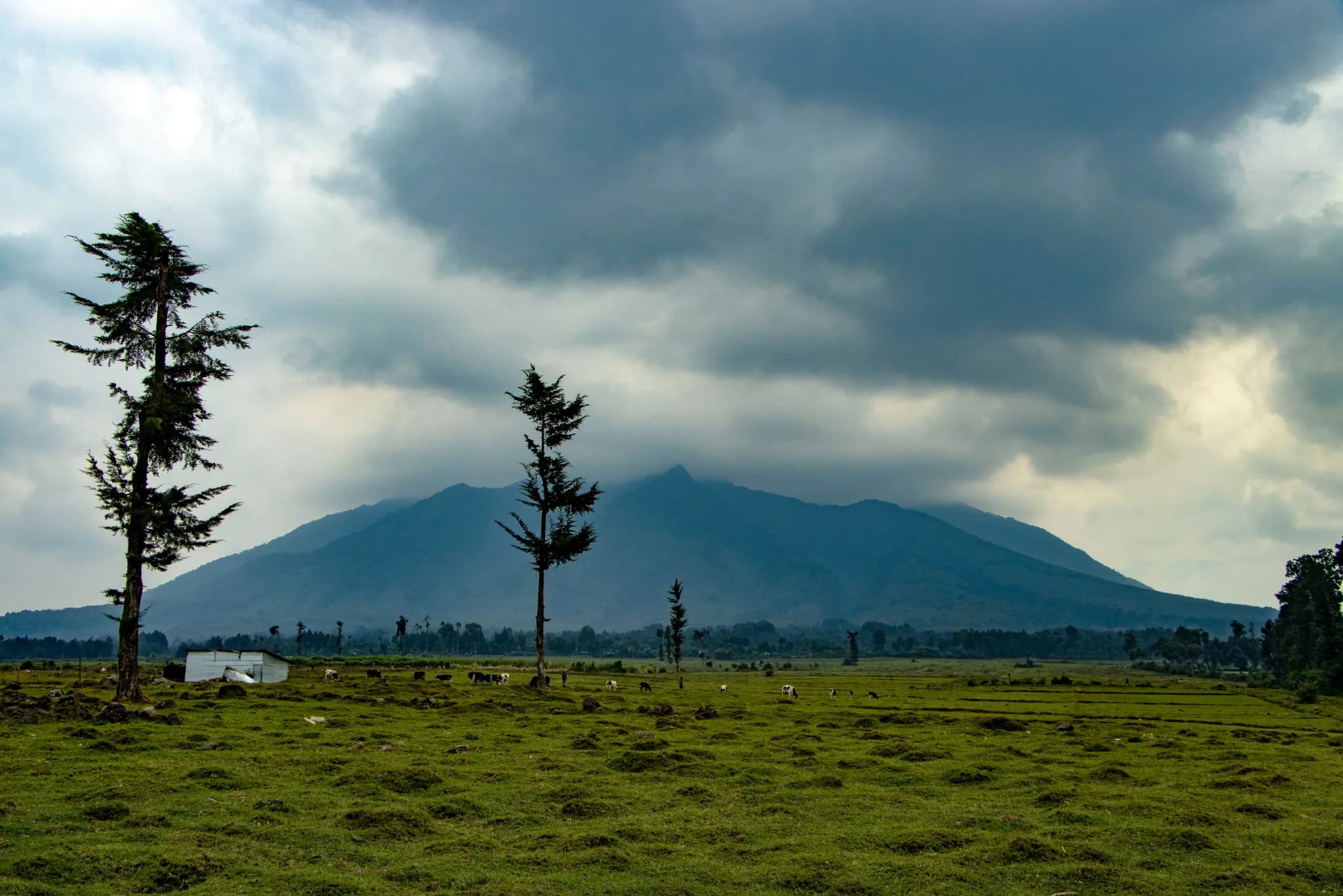 A Virunga peak shrouded in cloud above open farmland near Musanze in northern Rwanda