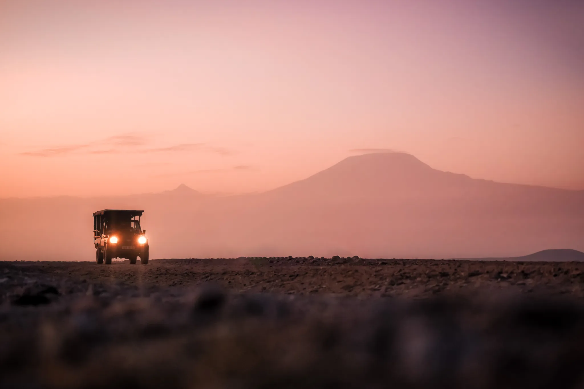 Where the Elephants Have Names: Tortilis Camp and the Shadow of Kilimanjaro